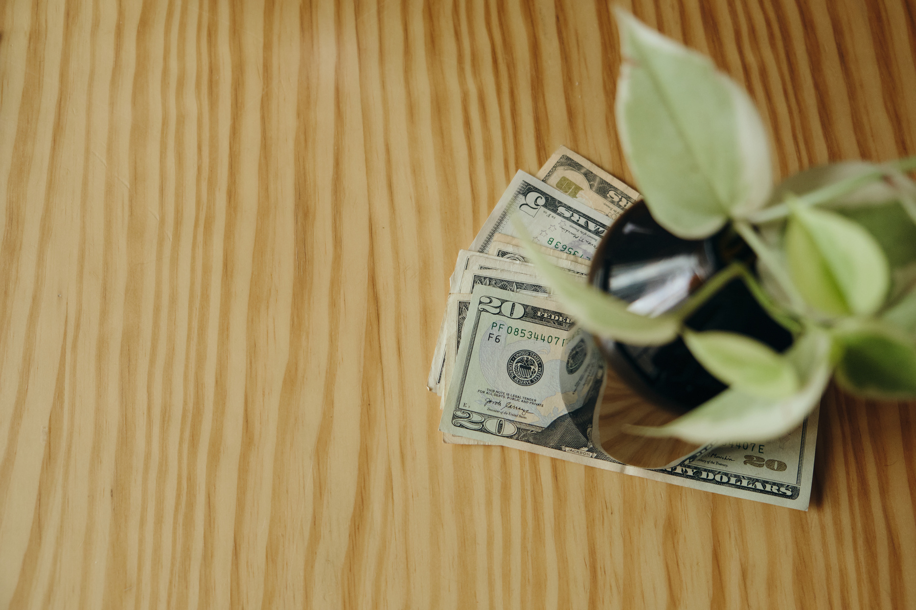 Money Under a Pot of Plant on Wooden Background