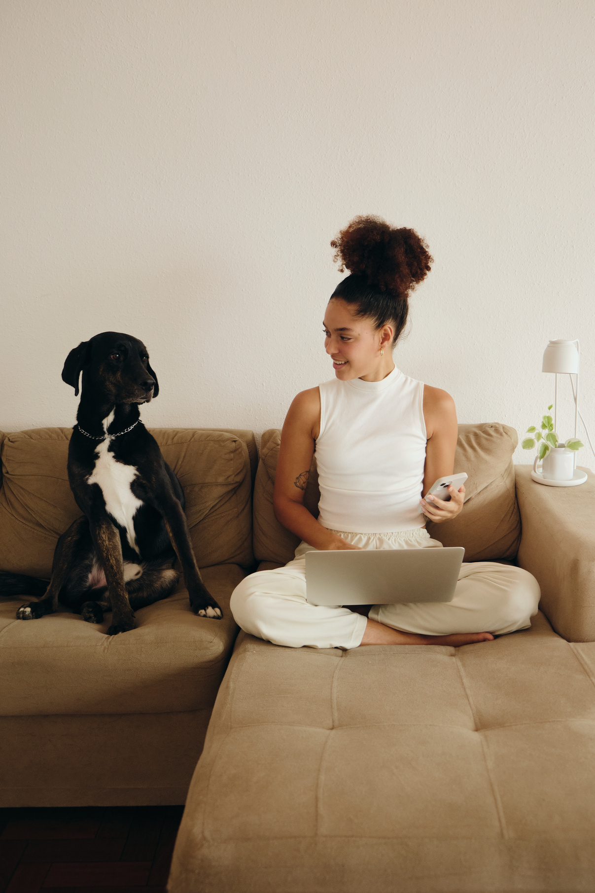 Woman Working on a Laptop with Dog Sitting Beside Her